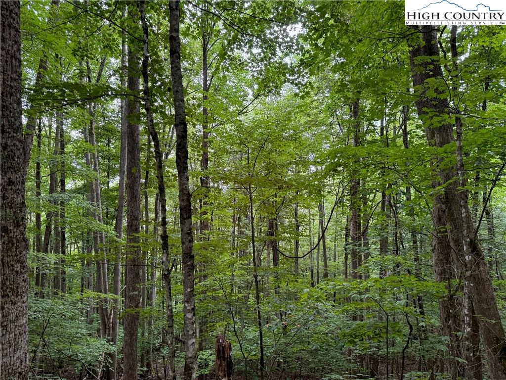 119 Raccoon Road Beech Mountain, NC 28604 - Photo 4 of 5
