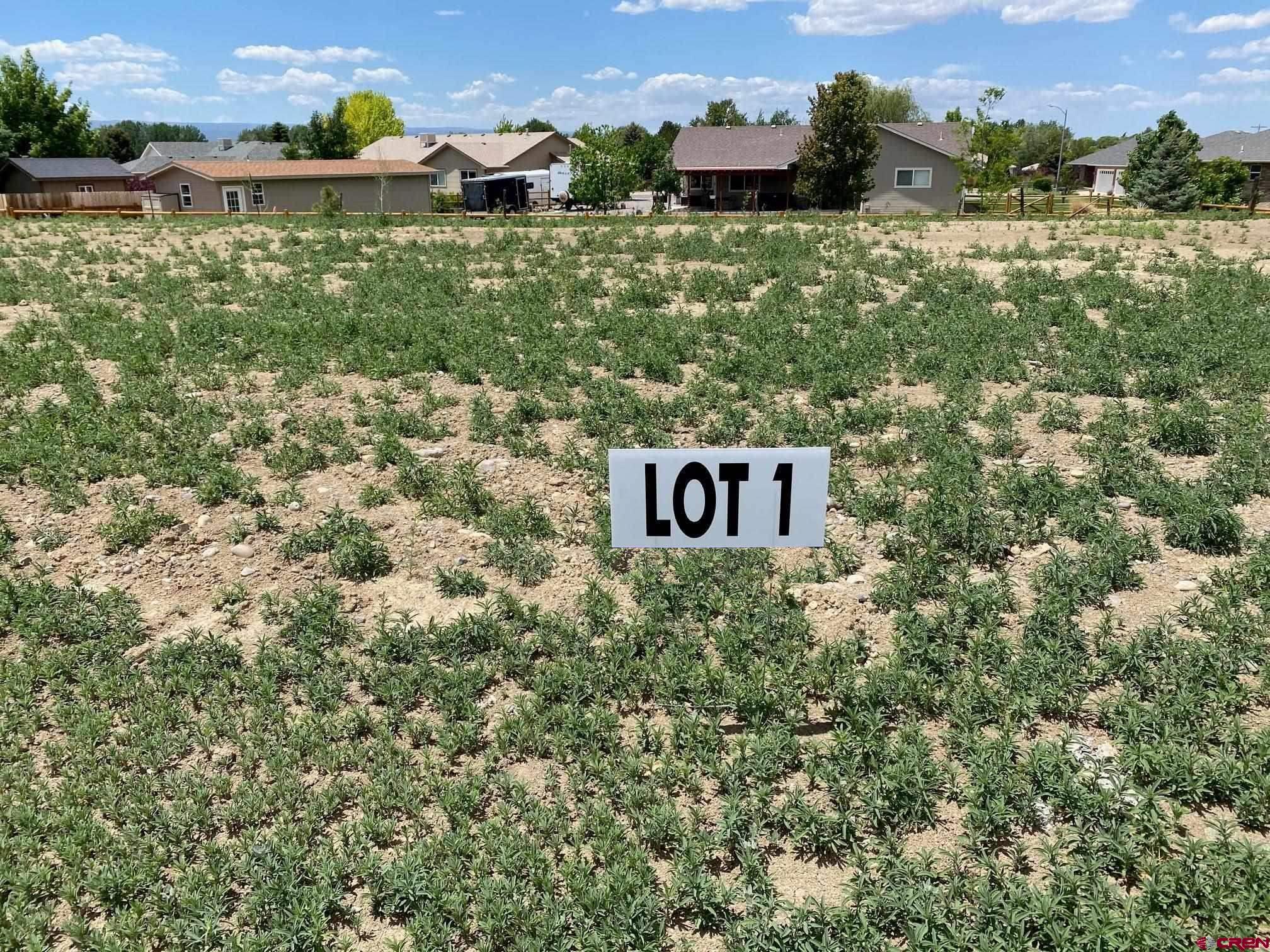 Lot 1 6700th Road Montrose, CO 81401 - Photo 1 of 7 a view of a back yard