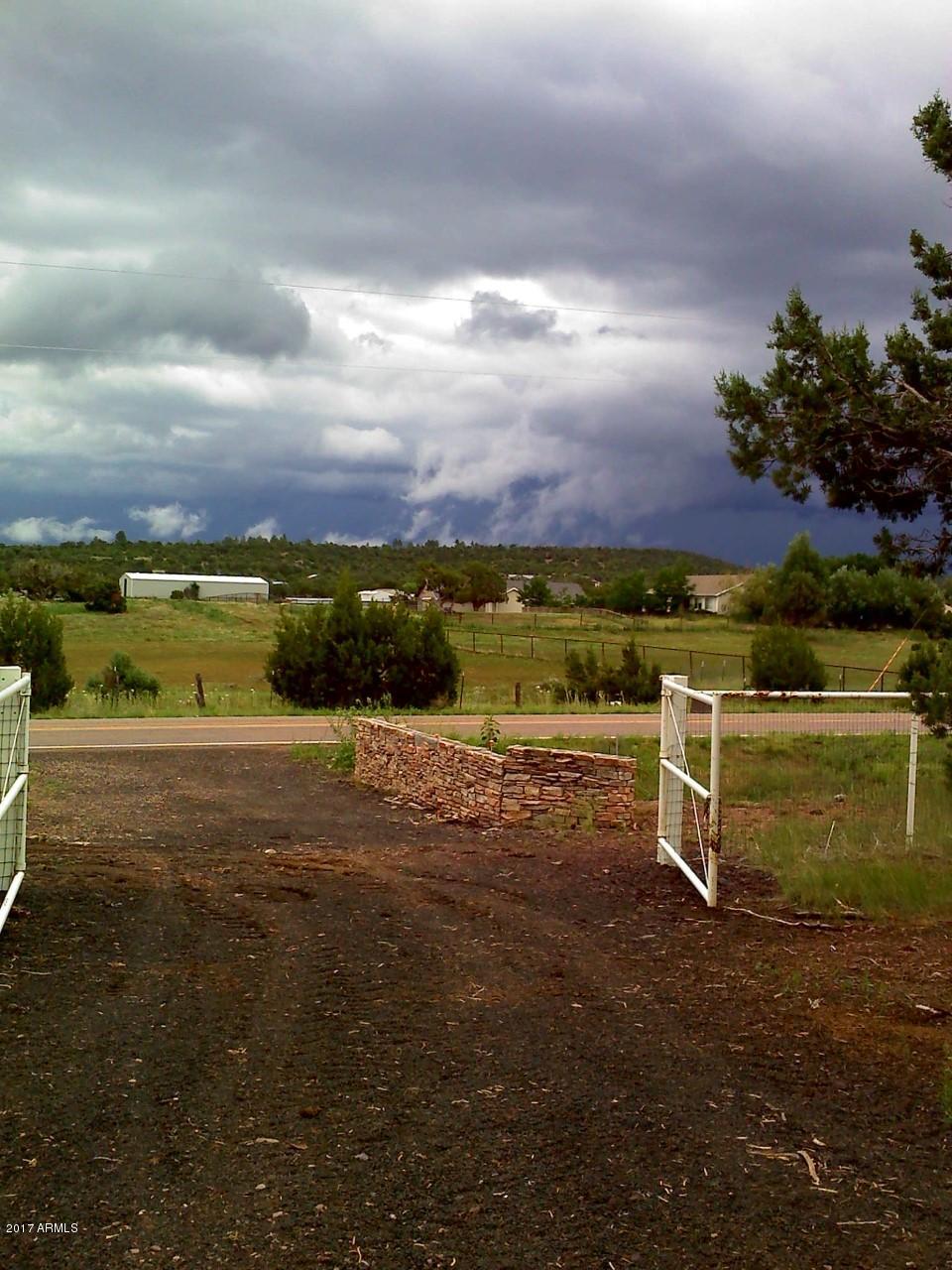 2182 Pulp Mill Road Clay Springs, AZ 85923 - Photo 2 of 29 cabin view out front
