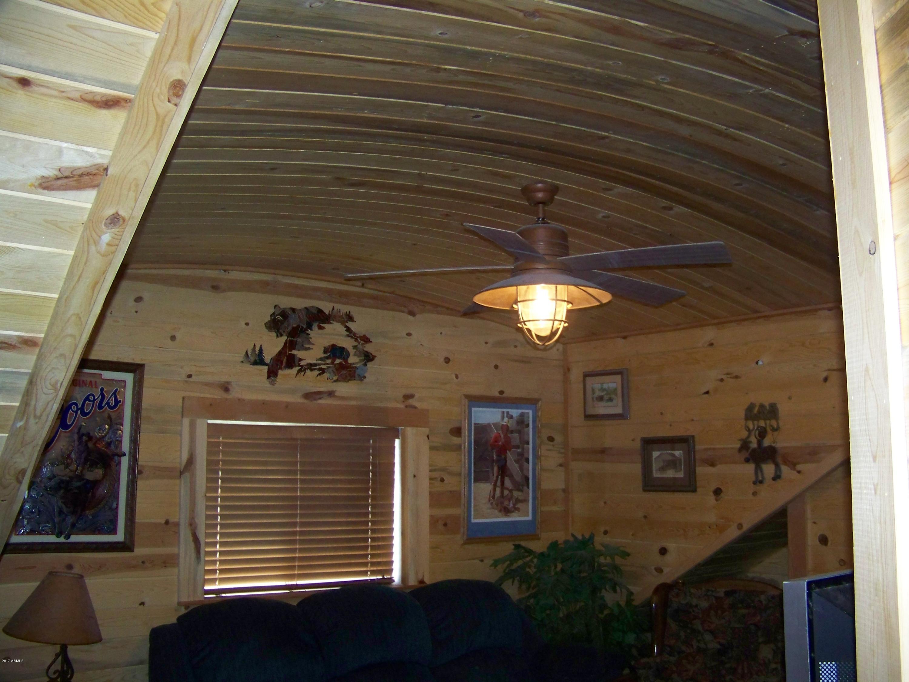 2182 Pulp Mill Road Clay Springs, AZ 85923 - Photo 28 of 29 100_4450