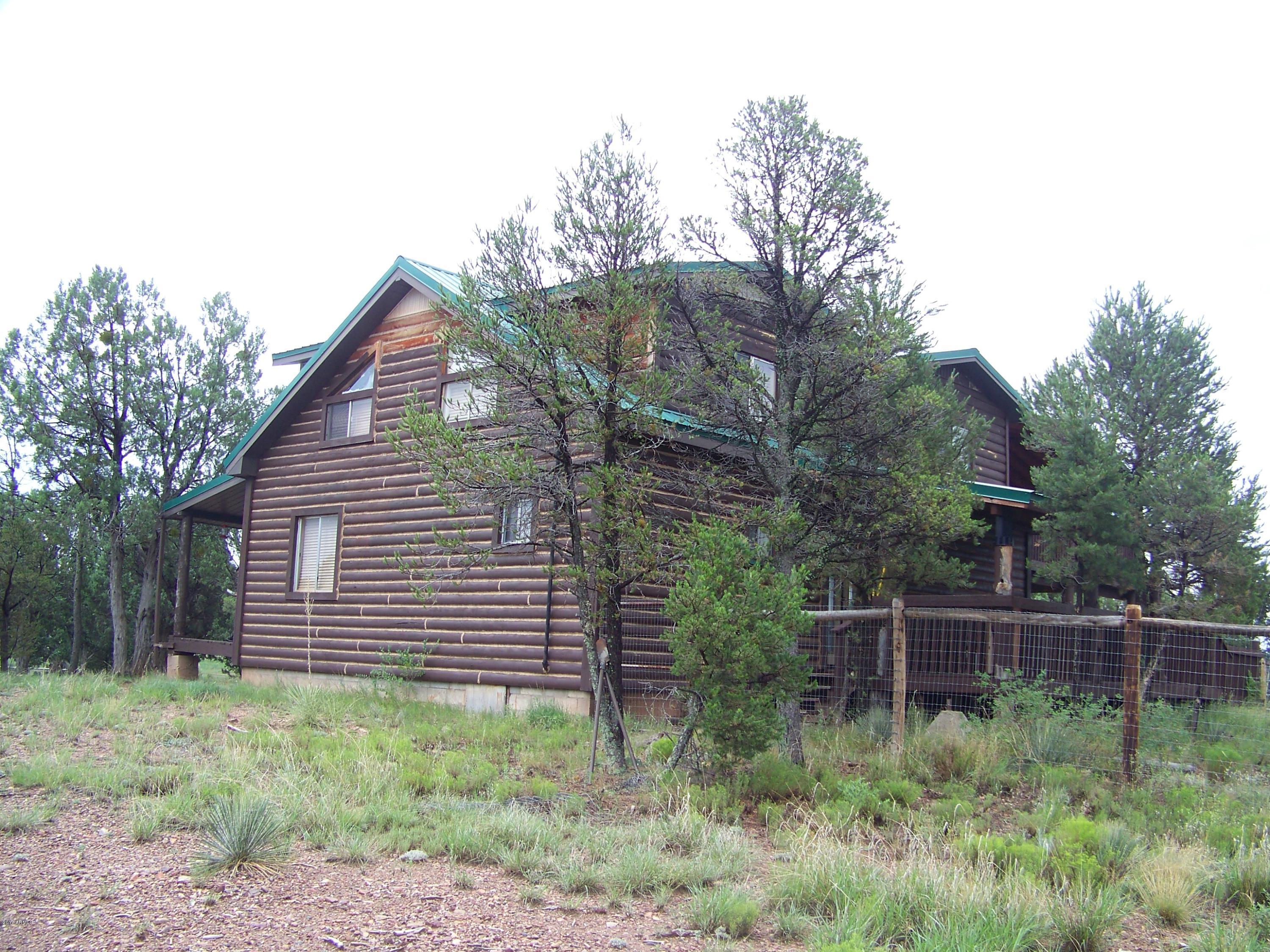 2182 Pulp Mill Road Clay Springs, AZ 85923 - Photo 4 of 29 100_4425