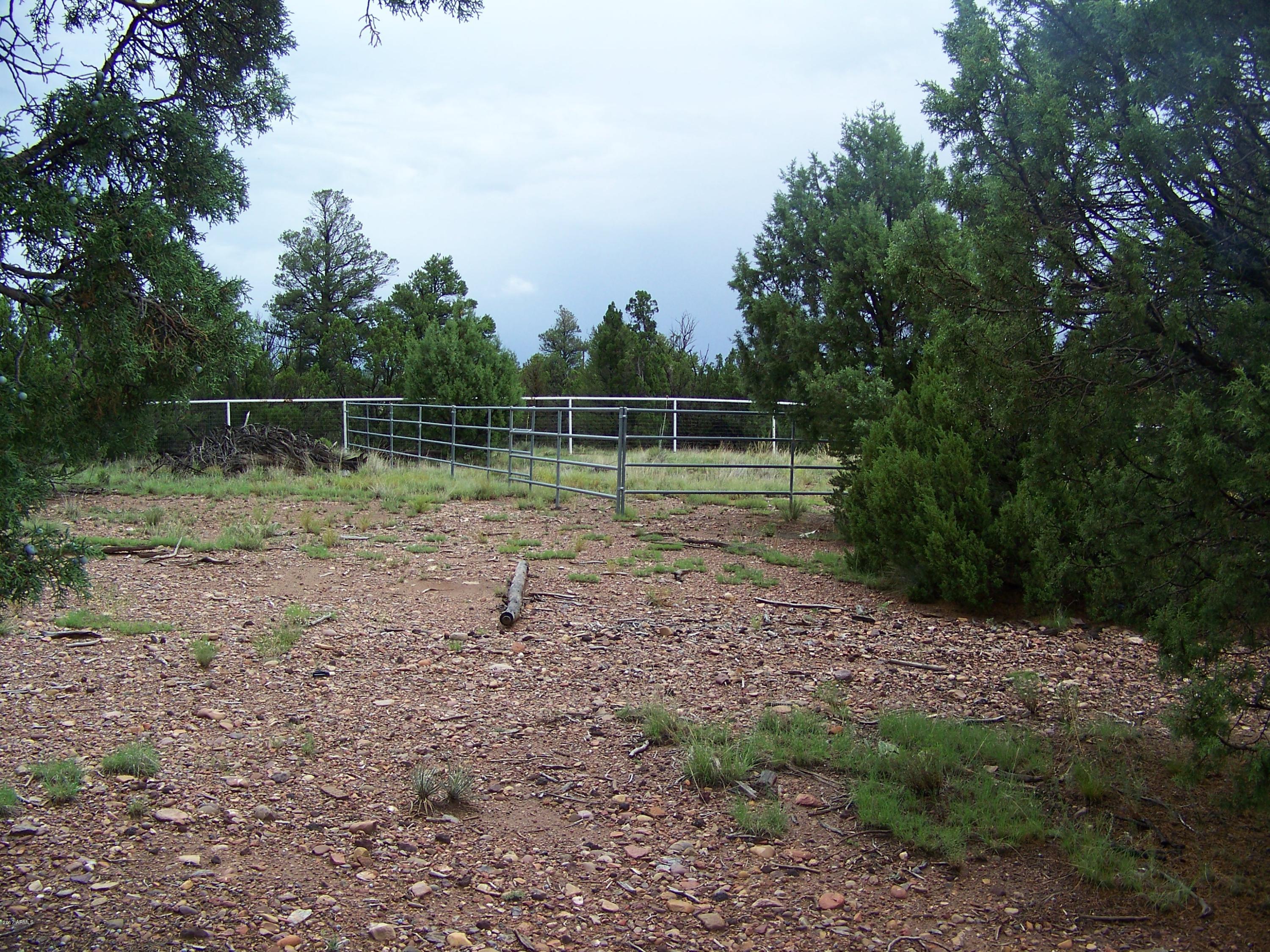 2182 Pulp Mill Road Clay Springs, AZ 85923 - Photo 5 of 29 100_4424