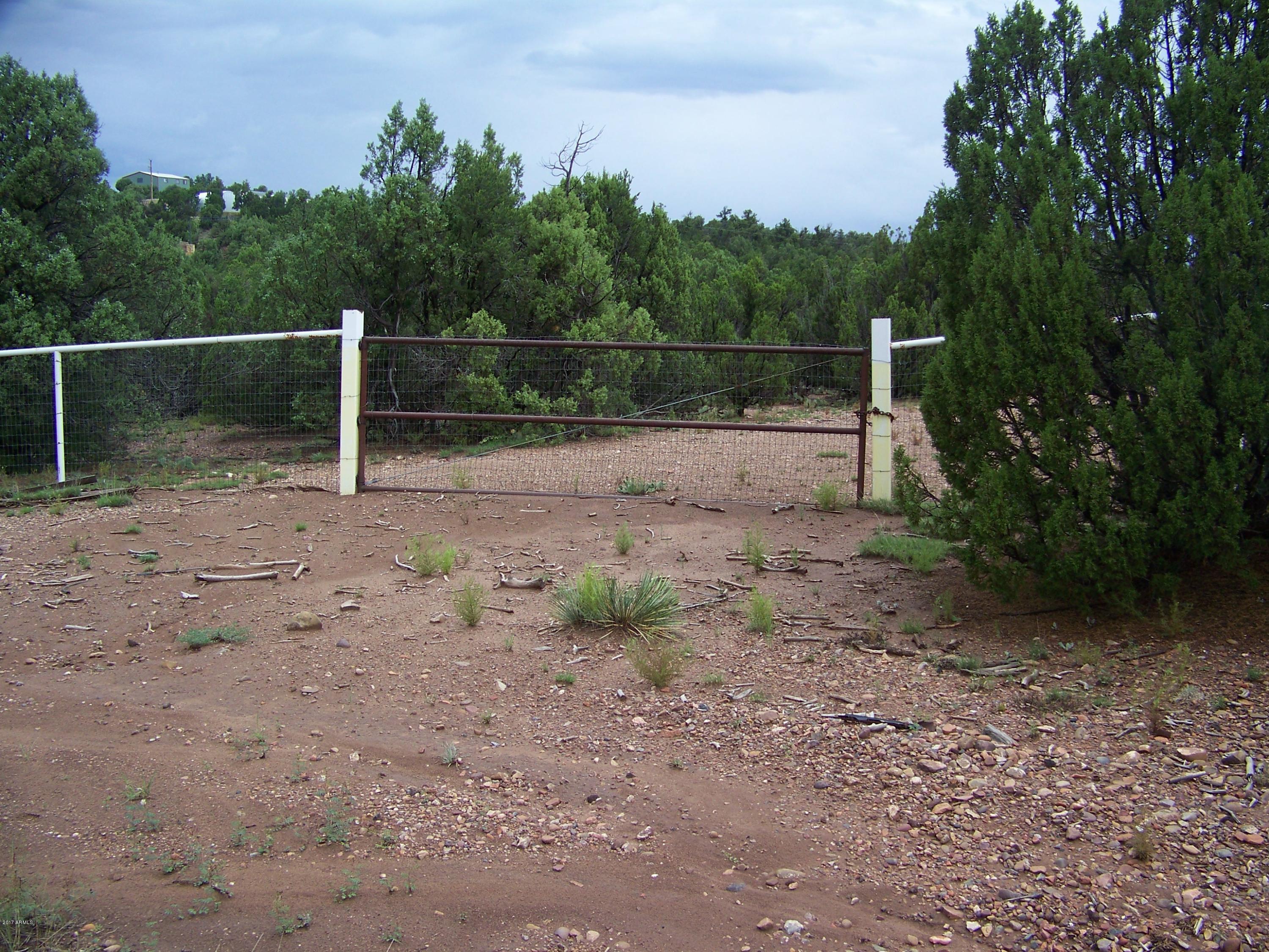 2182 Pulp Mill Road Clay Springs, AZ 85923 - Photo 6 of 29 100_4426