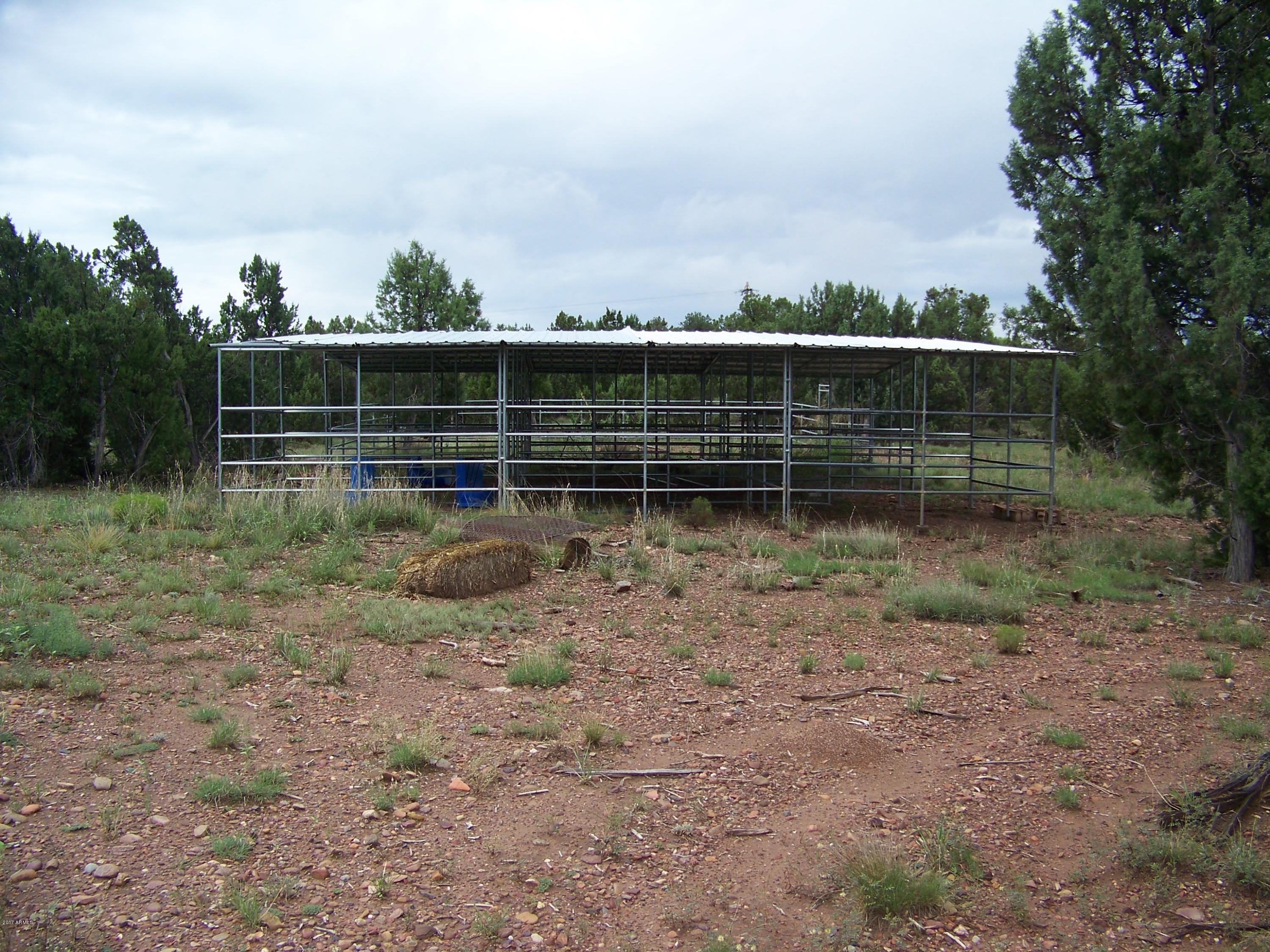 2182 Pulp Mill Road Clay Springs, AZ 85923 - Photo 9 of 29 100_4427