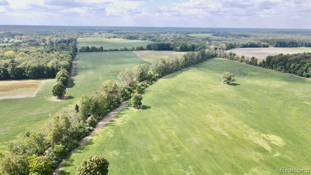 V/l Fargo Road Avoca, MI 48006 - Photo 4 of 21