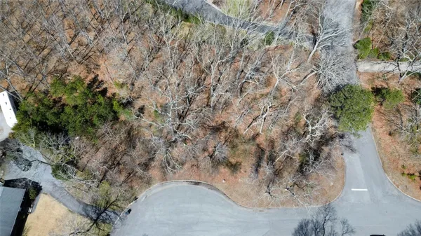 a view of a dry yard with plants