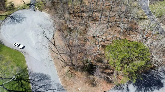 a view of a dry yard with trees