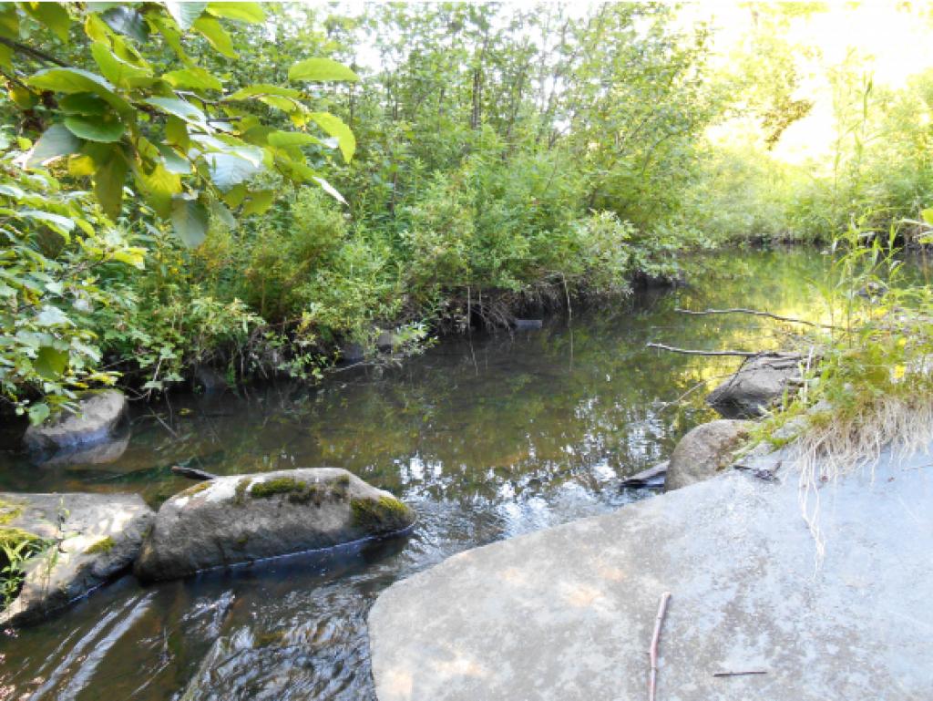 1277 Macdonald Road Washington, VT 05675 - Photo 30 of 33