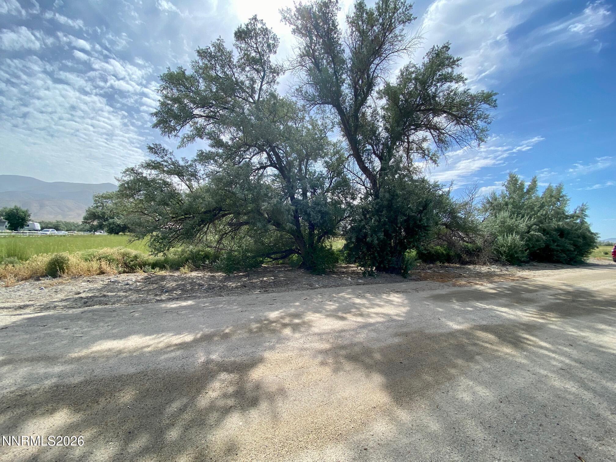 22150 Chimney Creek Road Lovelock, NV 89419 - Photo 3 of 11 a view of a dirt road with a trees