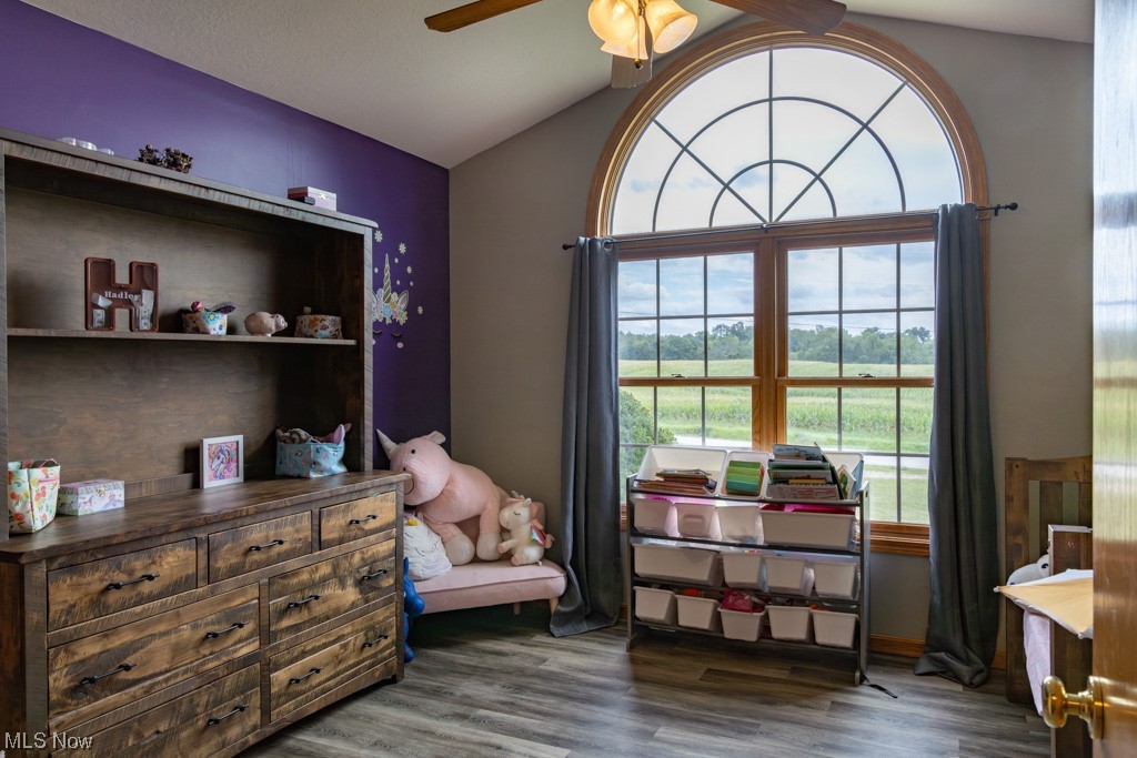 8383 Ickes Road Wooster, OH 44691 - Photo 22 of 32 Bedroom featuring dark hardwood flooring, vaulted ceiling, and ceiling fan
