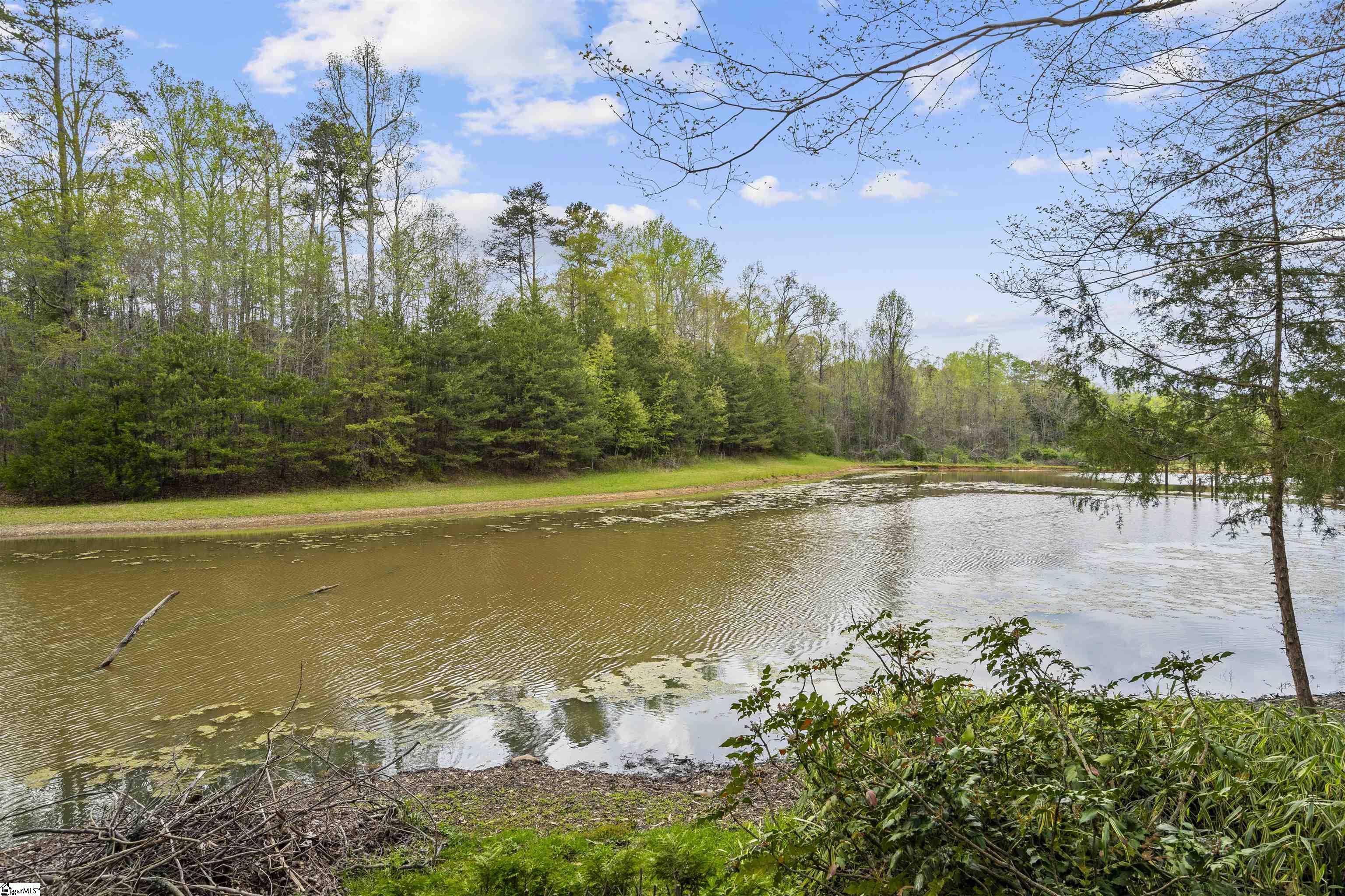 2619 Saluda Dam Road Easley, SC 29640 - Photo 25 of 36 Gallery Image 25