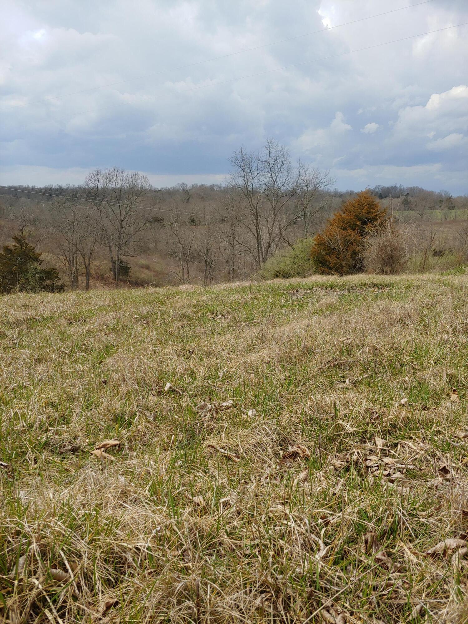 1550 Leaning Oak Road Corinth, KY 41010 - Photo 7 of 10 Gallery Image 7