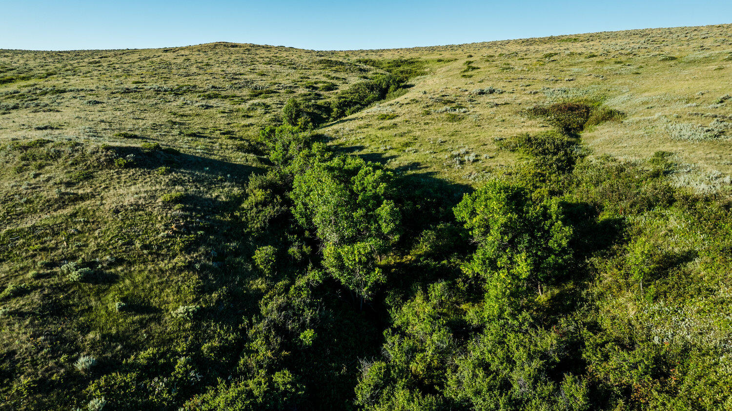 Sr Road, Unit /411 Wyarno, WY 82845 - Photo 15 of 39 033_dji_20250813073836_0041_d_408
