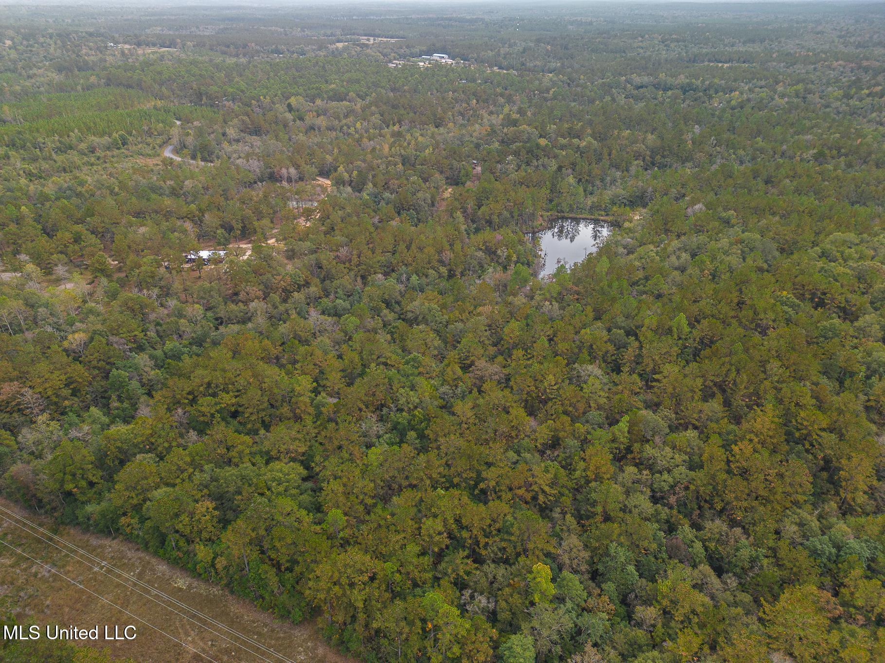Scott Road Lucedale, MS 39452 - Photo 1 of 30 1000031784