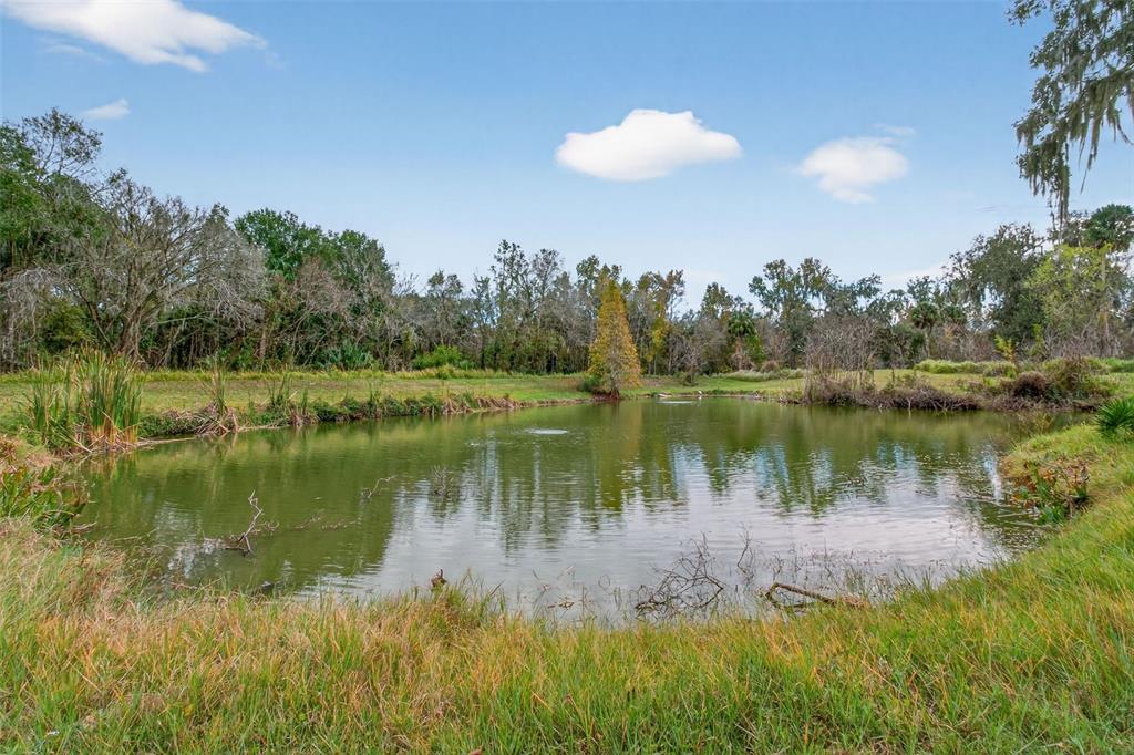 4925 Hamilton Road Lakeland, FL 33811 - Photo 5 of 71 a view of a lake in between two large trees