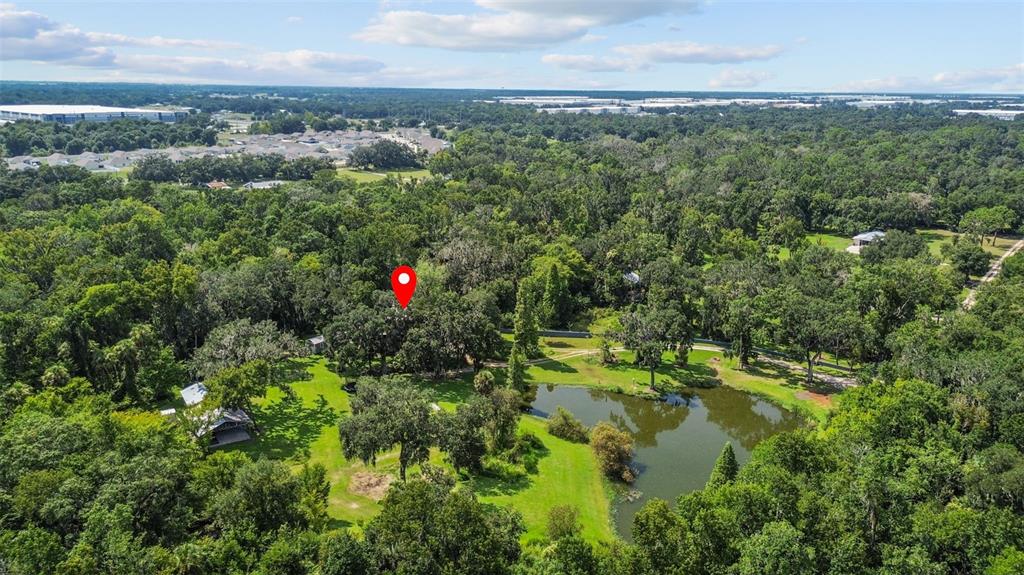4925 Hamilton Road Lakeland, FL 33811 - Photo 65 of 71 a view of street with lush green forest