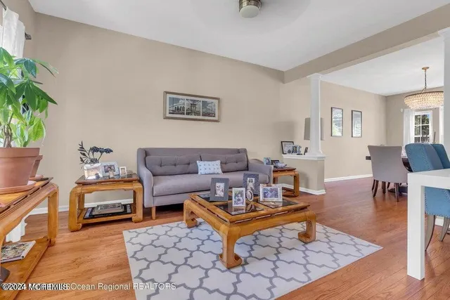 a living room with furniture a rug and a potted plant