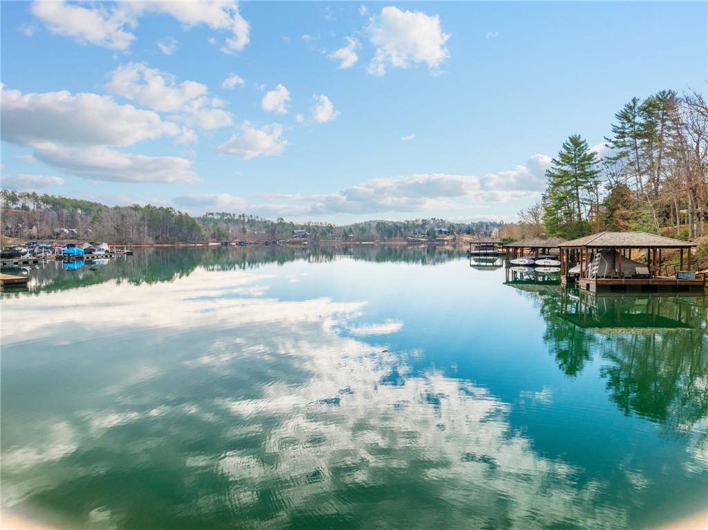 117 Sunrise Ridge Sunset, SC 29685 - Photo 36 of 37