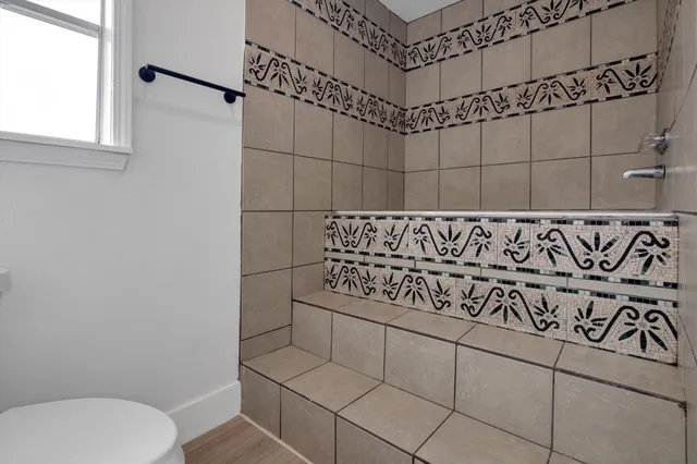 a bathroom with a shower and a toilet