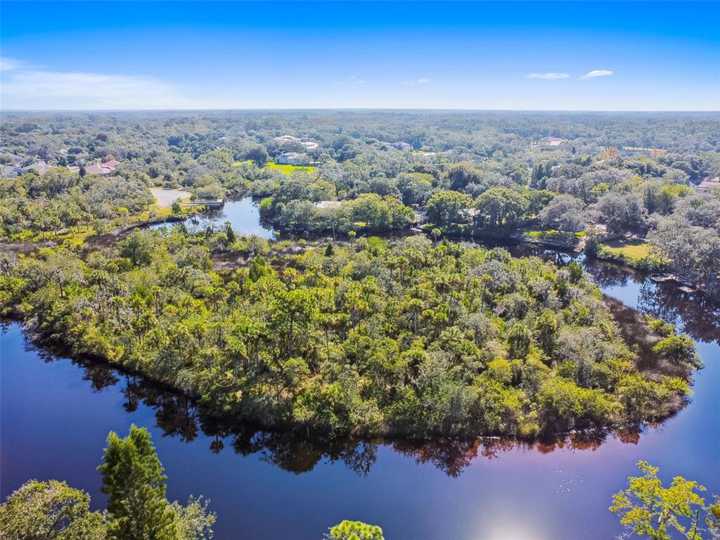 0 Japonica Court New Port Richey, FL 34655 - Photo 14 of 43