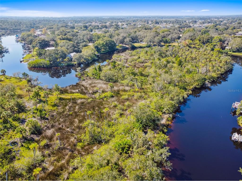 0 Japonica Court New Port Richey, FL 34655 - Photo 15 of 43