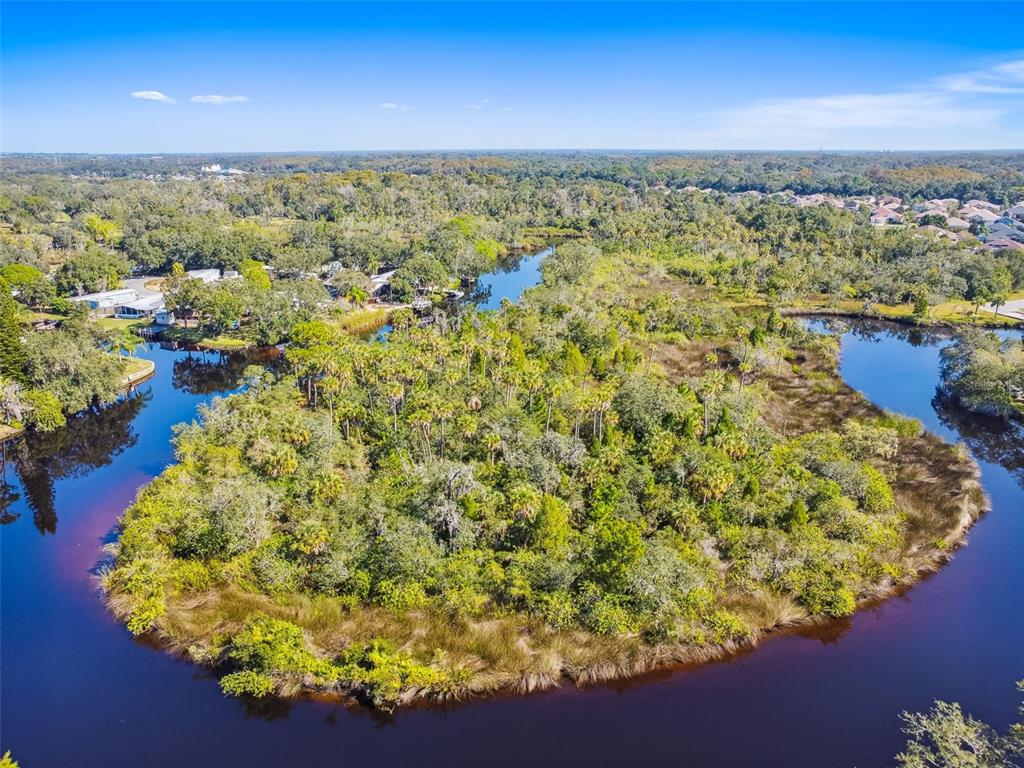 0 Japonica Court New Port Richey, FL 34655 - Photo 16 of 43