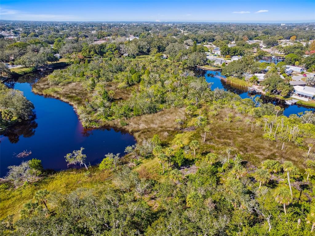 0 Japonica Court New Port Richey, FL 34655 - Photo 17 of 43