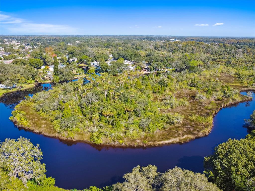 0 Japonica Court New Port Richey, FL 34655 - Photo 18 of 43
