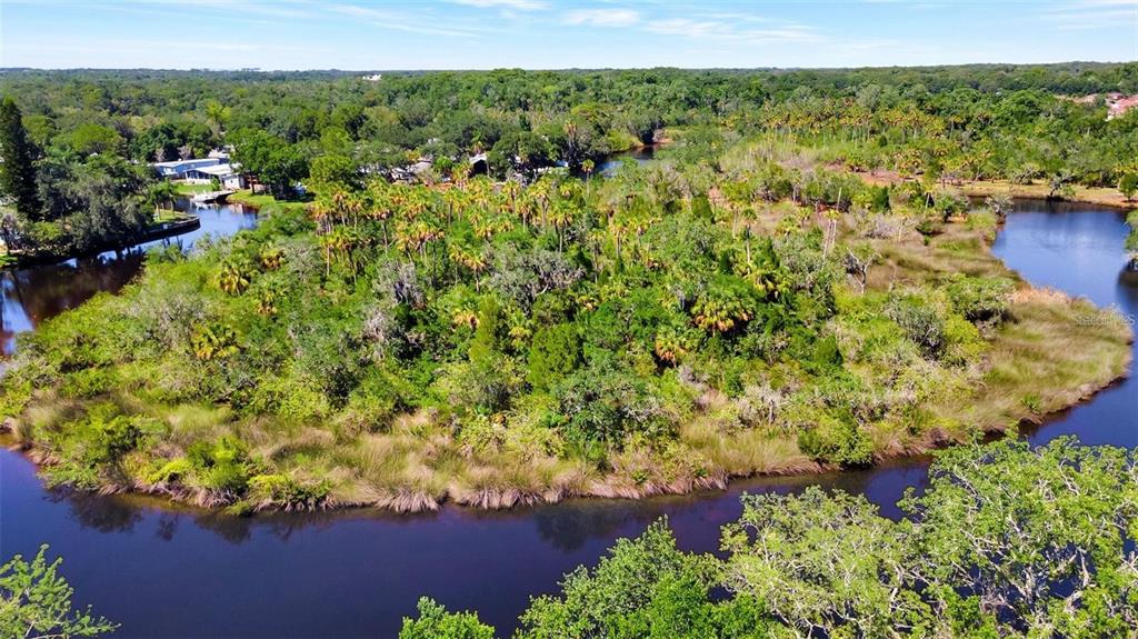 0 Japonica Court New Port Richey, FL 34655 - Photo 19 of 43