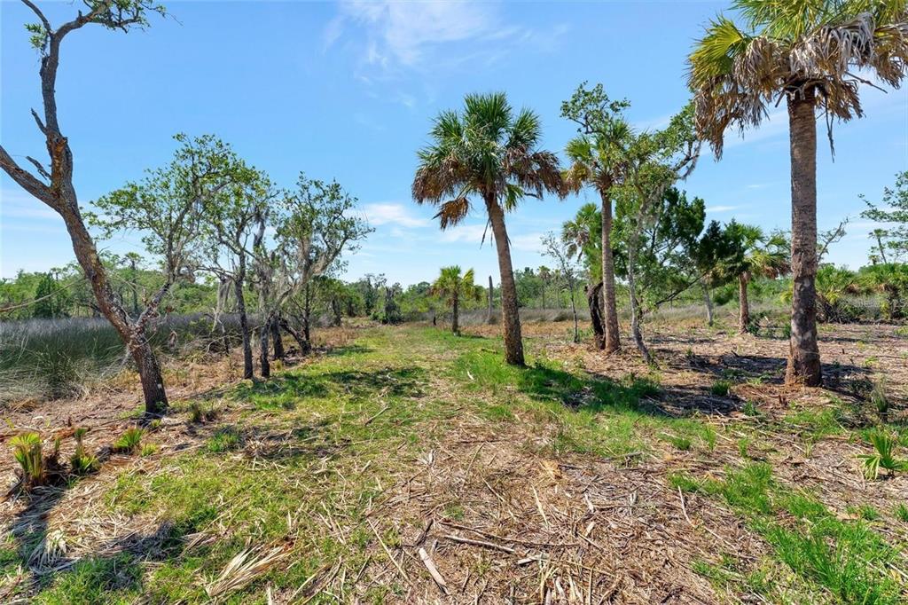 0 Japonica Court New Port Richey, FL 34655 - Photo 28 of 43