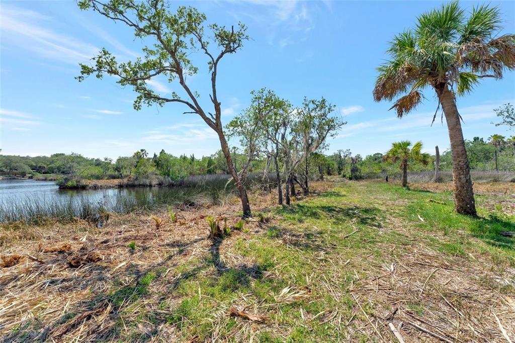 0 Japonica Court New Port Richey, FL 34655 - Photo 29 of 43