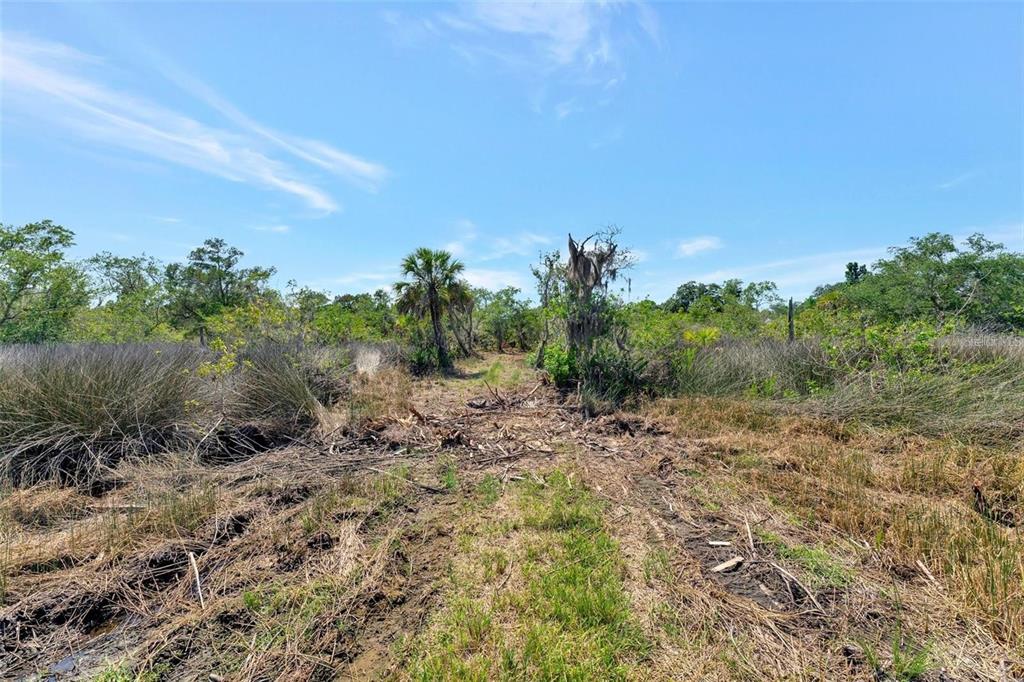 0 Japonica Court New Port Richey, FL 34655 - Photo 31 of 43