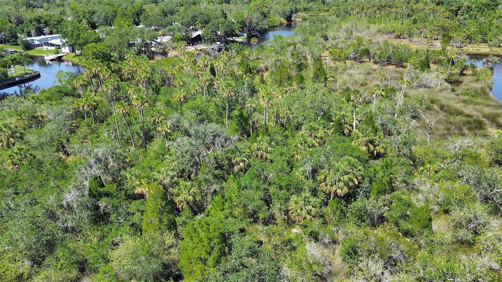 0 Japonica Court New Port Richey, FL 34655 - Photo 33 of 43