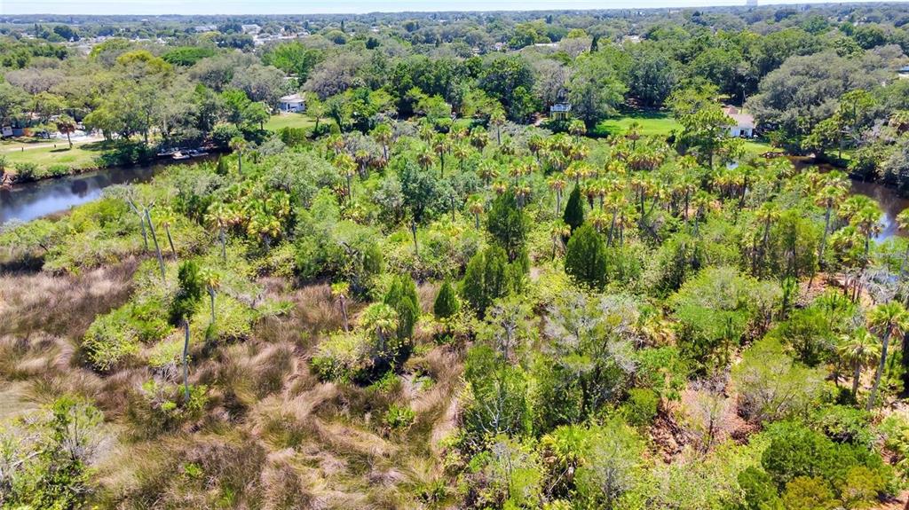 0 Japonica Court New Port Richey, FL 34655 - Photo 34 of 43