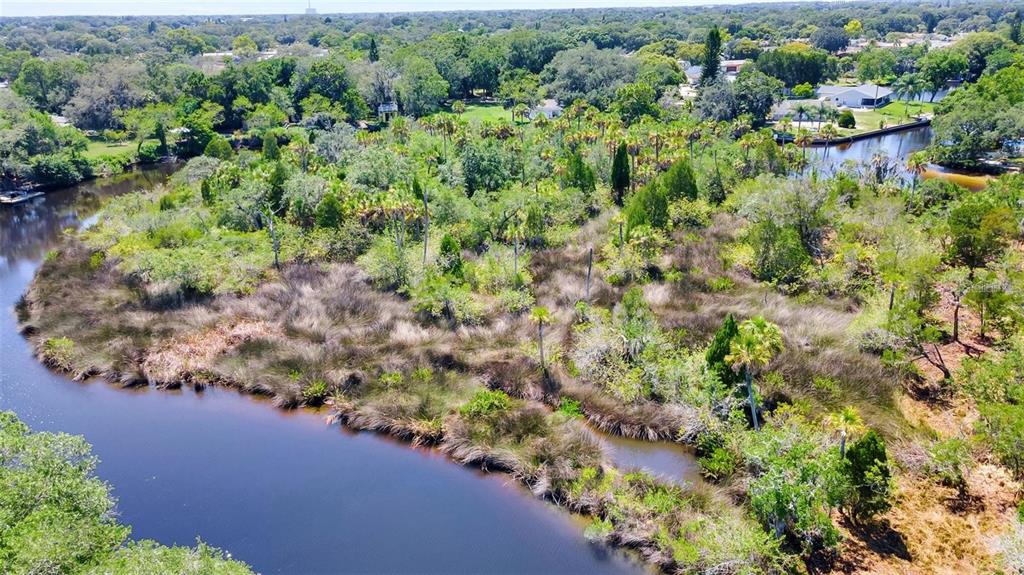 0 Japonica Court New Port Richey, FL 34655 - Photo 35 of 43