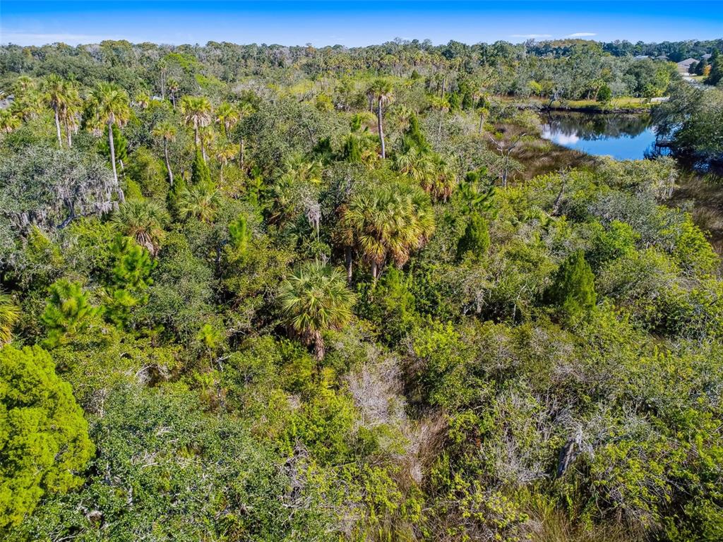 0 Japonica Court New Port Richey, FL 34655 - Photo 36 of 43