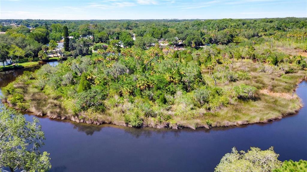 0 Japonica Court New Port Richey, FL 34655 - Photo 4 of 43