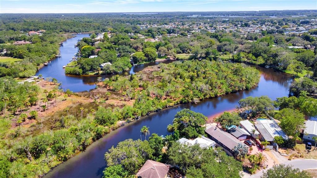 0 Japonica Court New Port Richey, FL 34655 - Photo 6 of 43