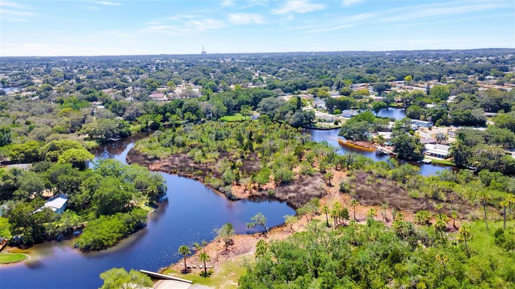 0 Japonica Court New Port Richey, FL 34655 - Photo 8 of 43