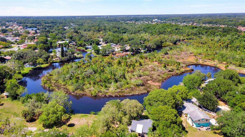 0 Japonica Court New Port Richey, FL 34655 - Photo 9 of 43