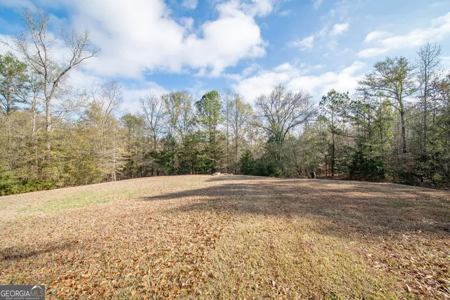 $5,454 | 161 Calhoun Road, Hamilton, GA 31811