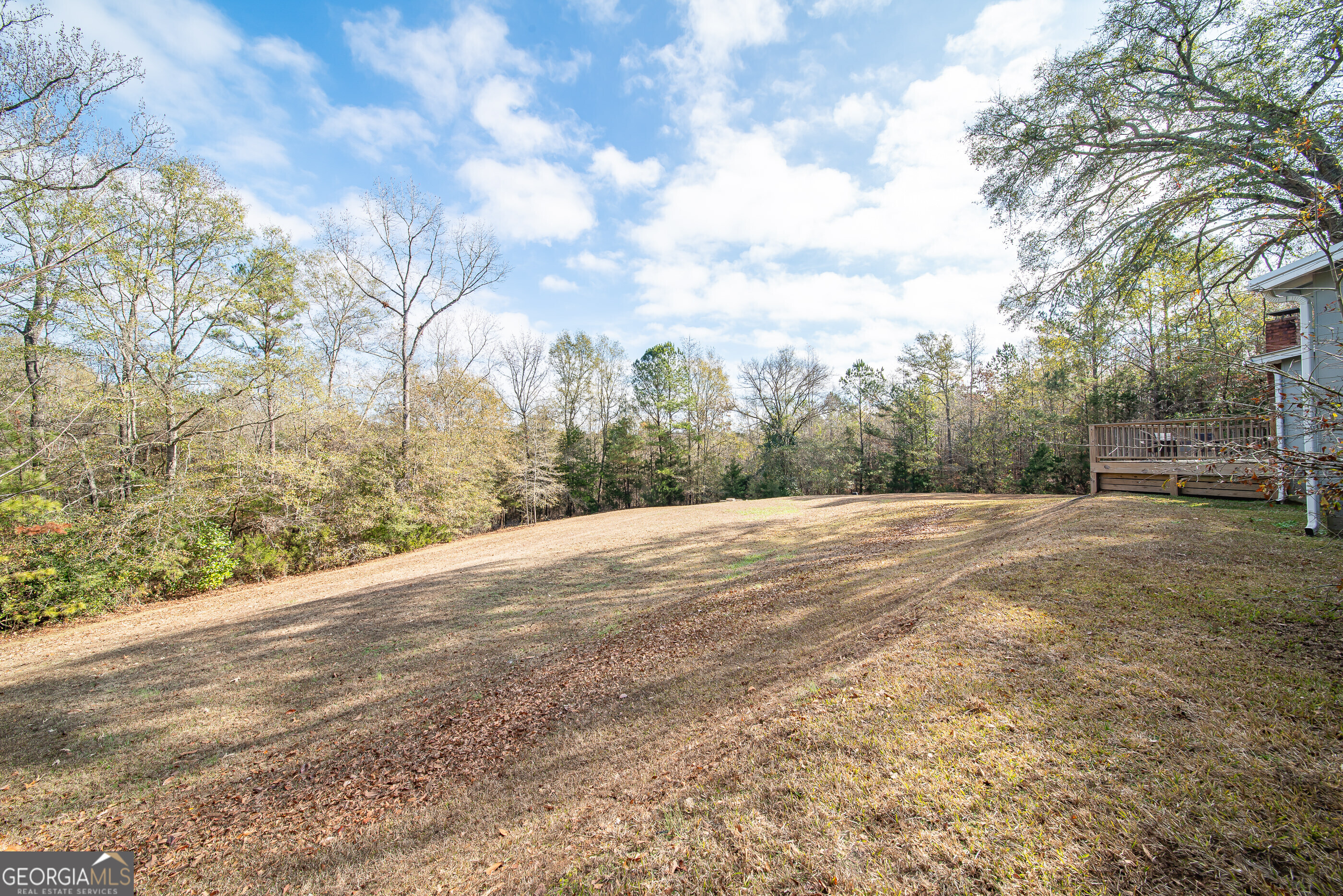 161 Calhoun Road Hamilton, GA 31811 - Photo 9 of 90