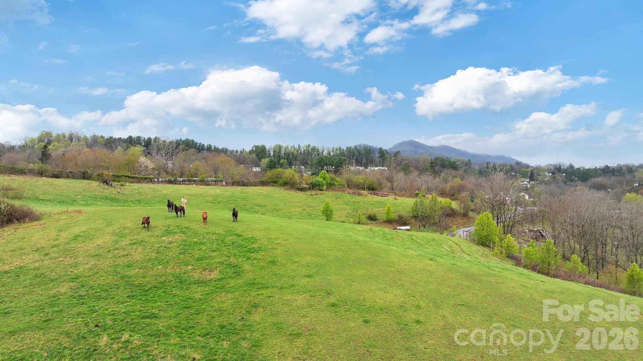 618 Beaverdam Street Canton, NC 28716 - Photo 13 of 21 a view of a lake with a big yard
