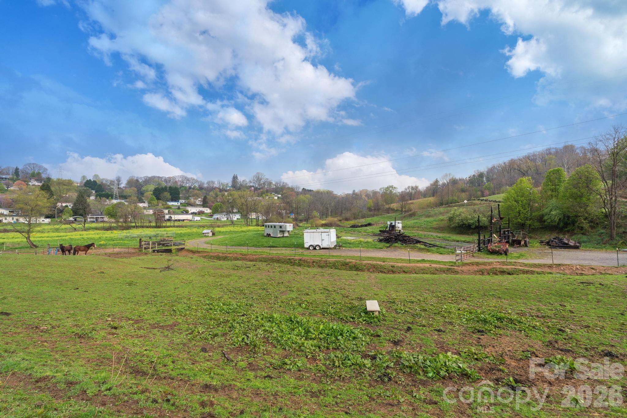 618 Beaverdam Street Canton, NC 28716 - Photo 19 of 21 a view of large trees and a big yard