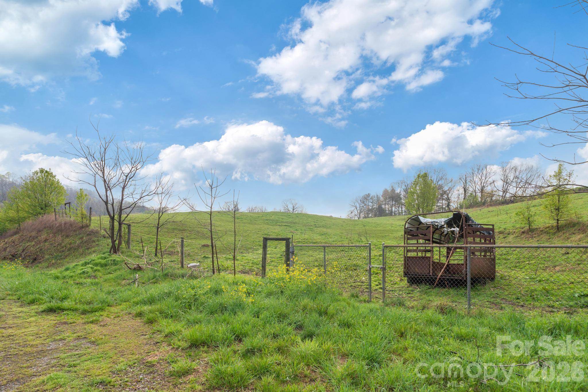 618 Beaverdam Street Canton, NC 28716 - Photo 20 of 21 a garden with lots of green space