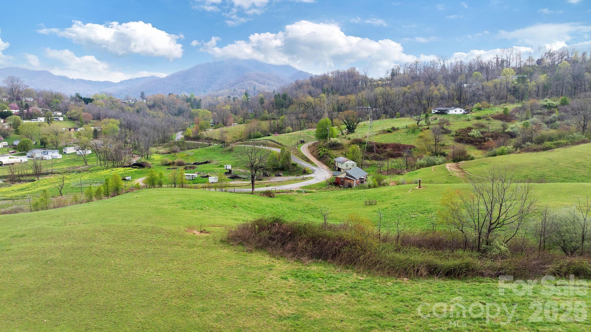 618 Beaverdam Street Canton, NC 28716 - Photo 2 of 21 a view of a park with houses