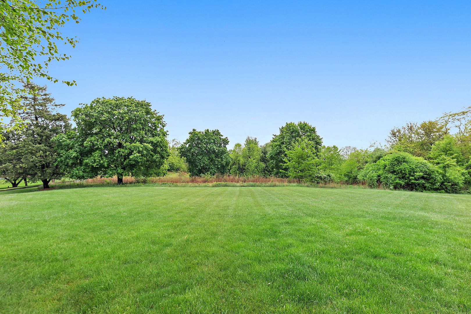 660 Plum Tree Road Barrington Hills, IL 60010 - Photo 5 of 52