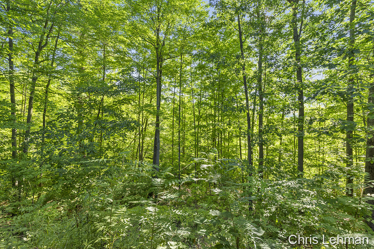2474 West County Line Road Sand Lake, MI 49343 - Photo 29 of 37 IMG_1030