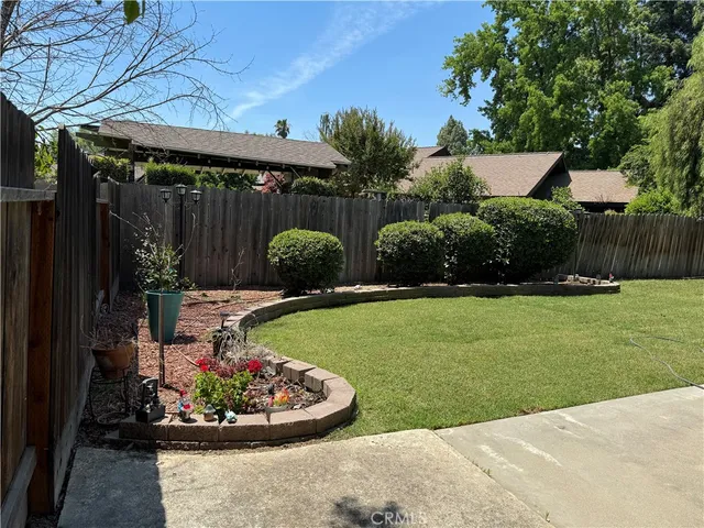 a view of a backyard with potted plants and large tree