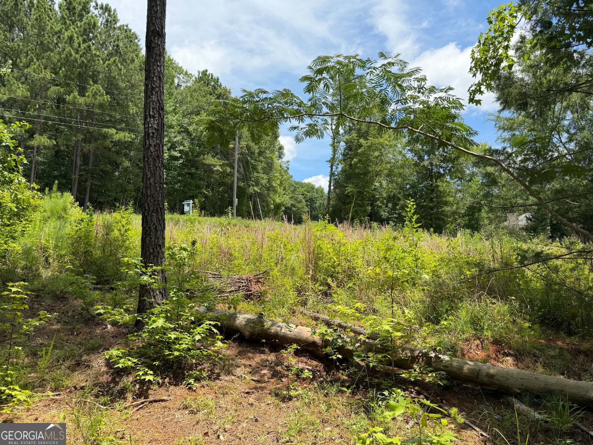 0 Whatley North Road LaGrange, GA 30240 - Photo 8 of 11